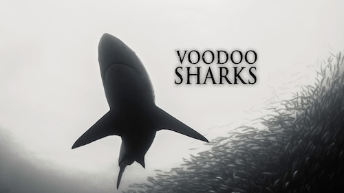 Voodoo Sharks poster — movie on Max