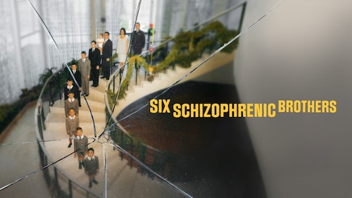 Six Schizophrenic Brothers poster — TV series on Max