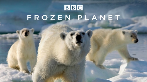 Frozen Planet poster — TV series on Max