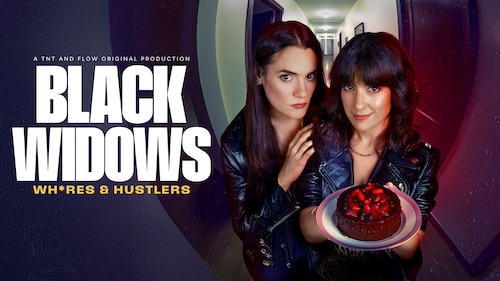 Black Widows: Wh*res & Hustlers poster — TV series on Max