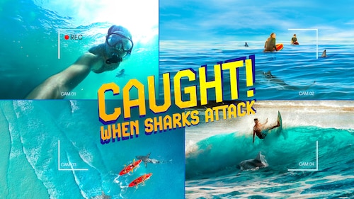 Caught! When Sharks Attack poster — movie on Max