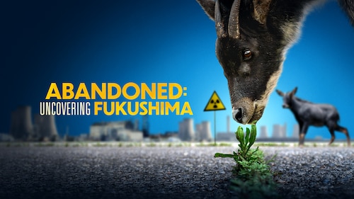 Abandoned: Uncovering Fukushima poster — movie on Max