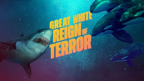 Great White Reign of Terror poster — movie on Max
