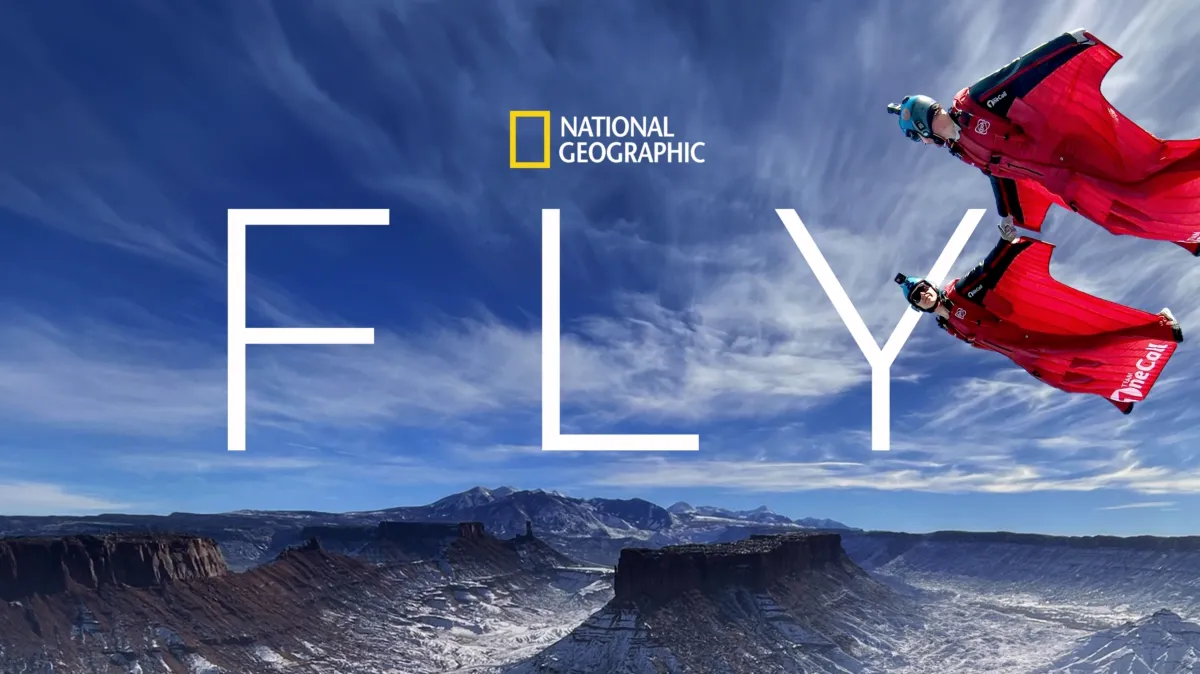 FLY poster — movie on Disney+