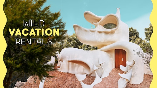 Wild Vacation Rentals poster — TV series on Max