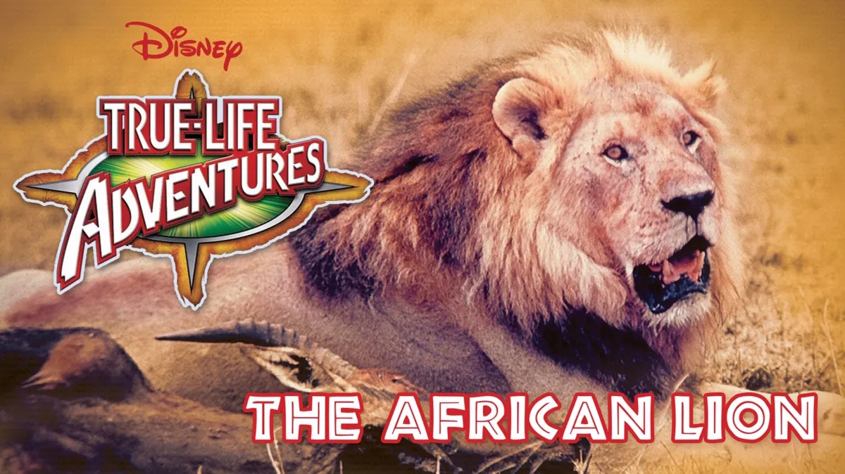 The African Lion poster — movie on Disney+