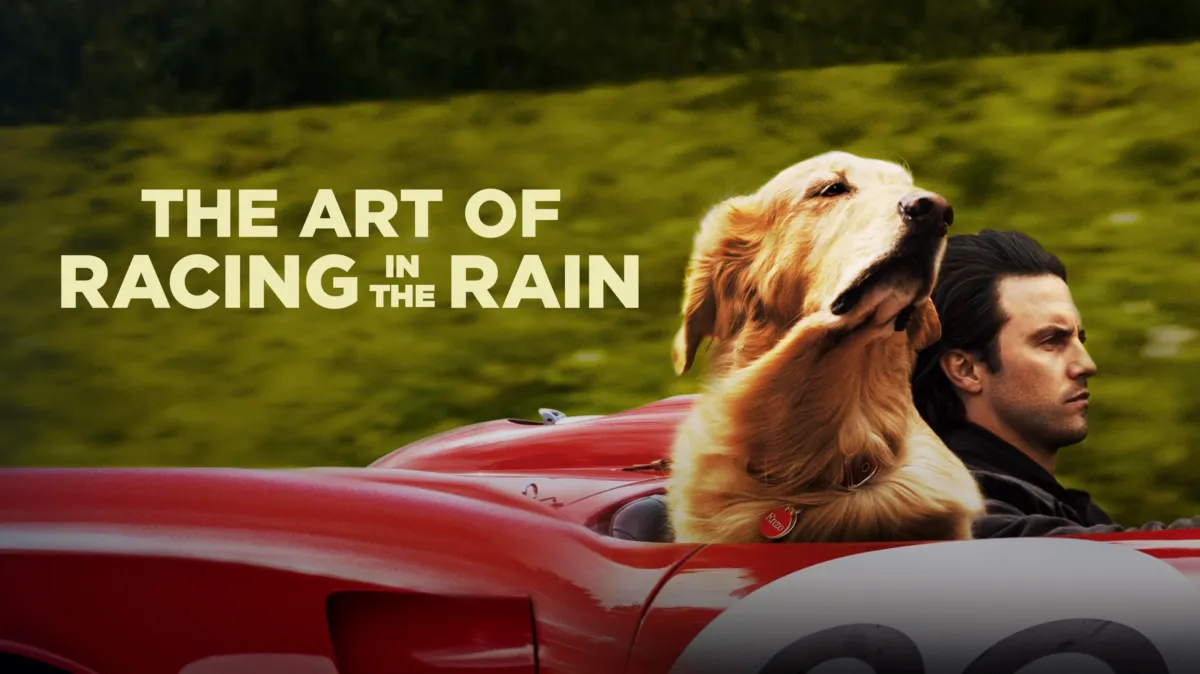 The Art of Racing in the Rain poster — movie on Disney+