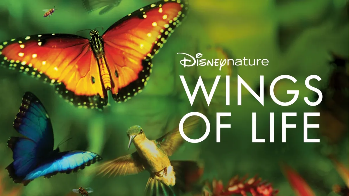 Wings of Life poster — movie on Disney+