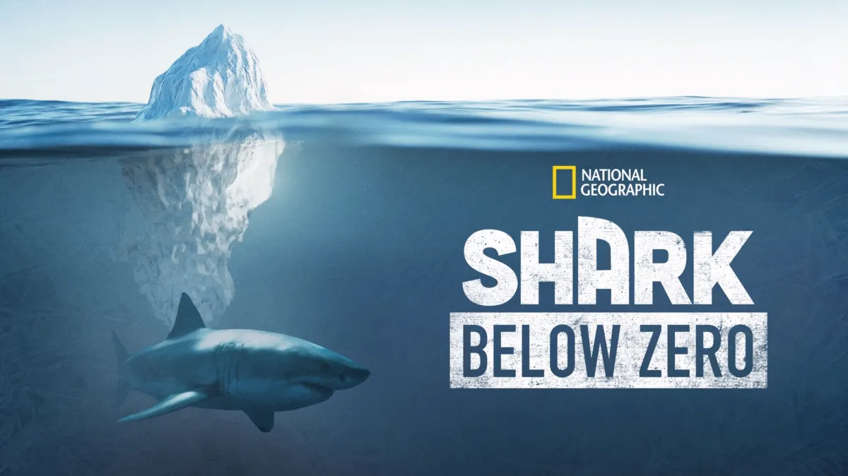 Shark Below Zero poster — movie on Disney+