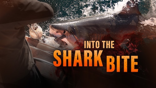Into the Shark Bite poster — movie on Max