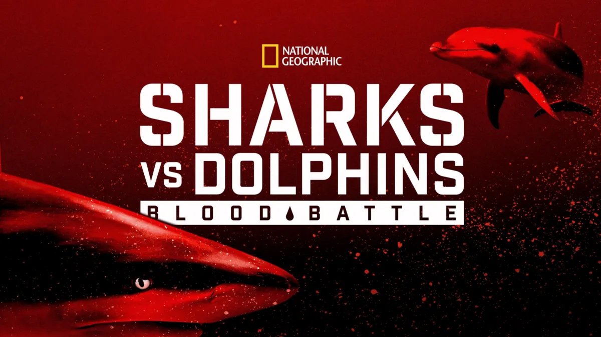 Sharks vs. Dolphins: Blood Battle poster — movie on Disney+