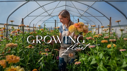 Growing Floret poster — TV series on Max