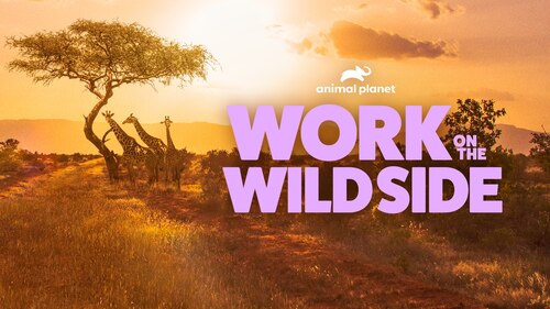 Work on the Wild Side poster — TV series on Max