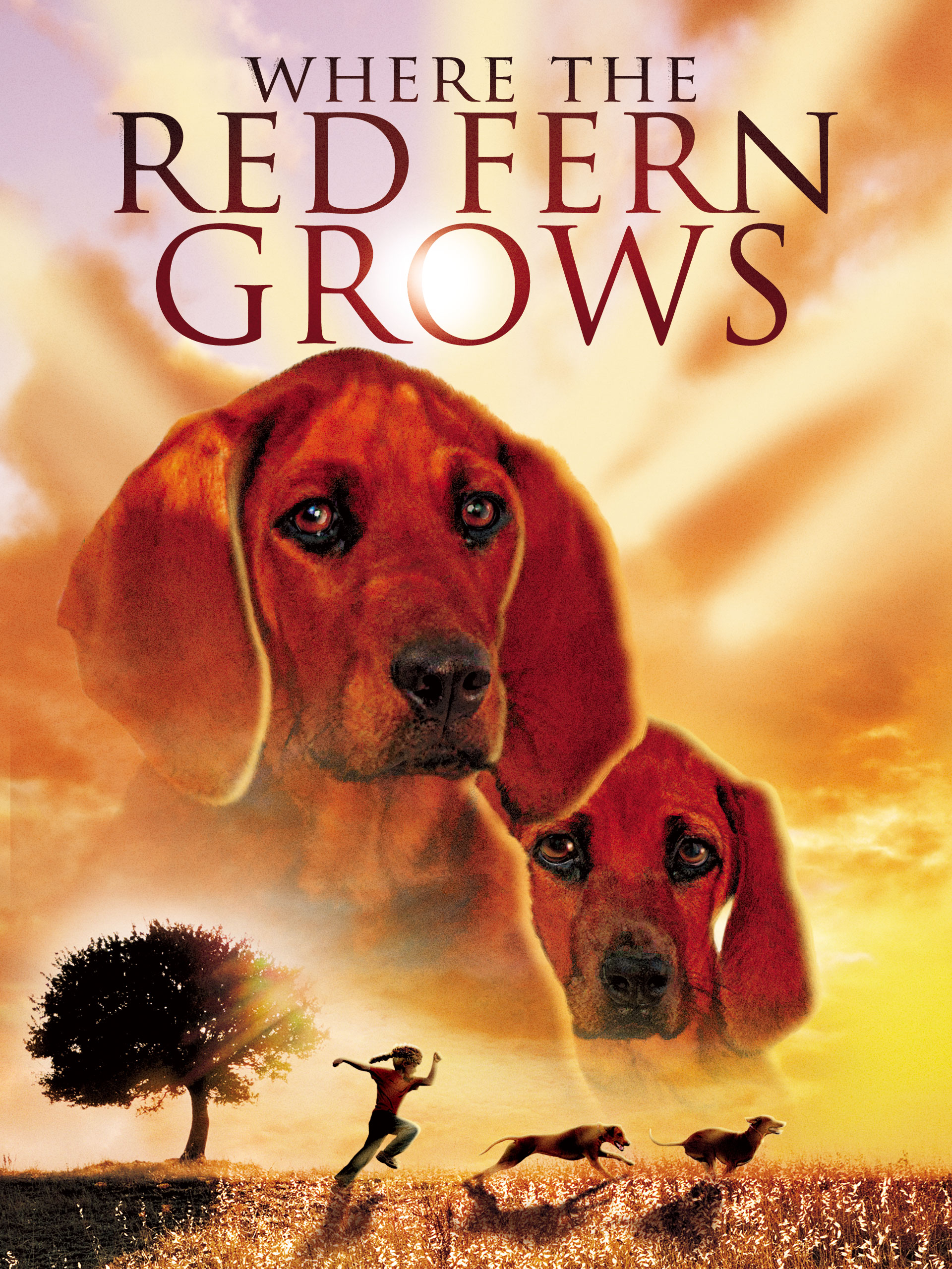 Where the Red Fern Grows poster — movie on Prime Video