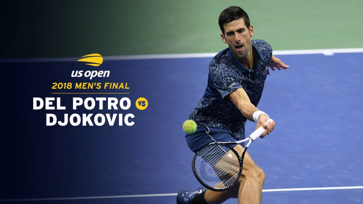 2018 Men's Final: J. Del Potro vs. N. Djokovic poster — movie on Disney+