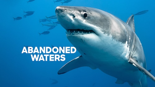 Abandoned Waters poster — movie on Max