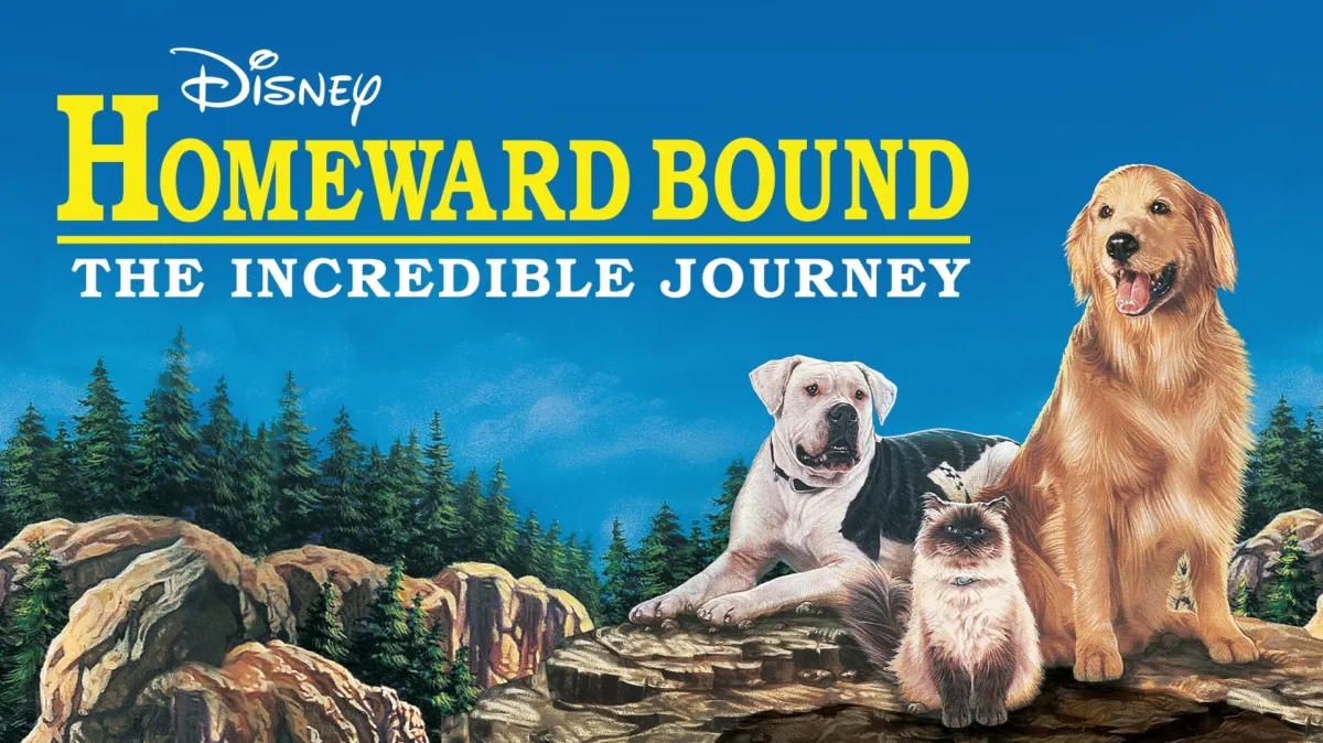 Homeward Bound: The Incredible Journey poster — movie on Disney+