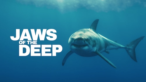 Jaws of the Deep poster — movie on Max