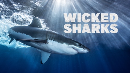 Wicked Sharks poster — movie on Max