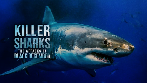 Killer Sharks: The Attacks of Black December poster — movie on Max