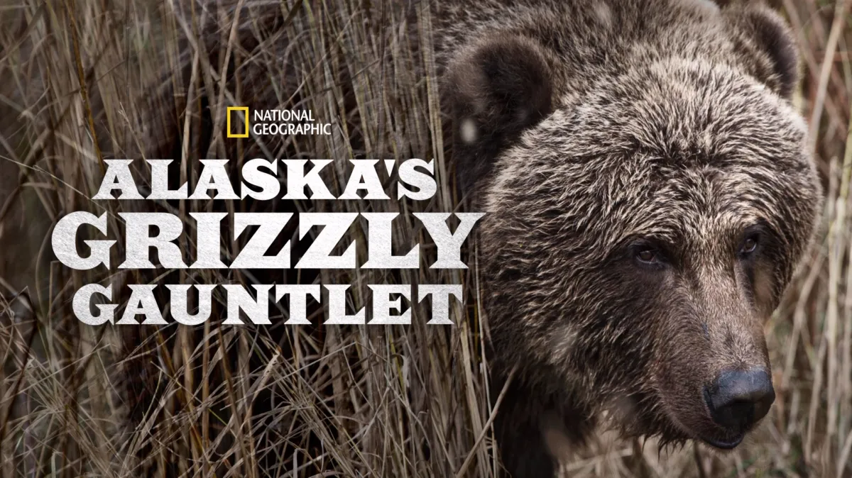 Alaska's Grizzly Gauntlet poster — TV series on Disney+