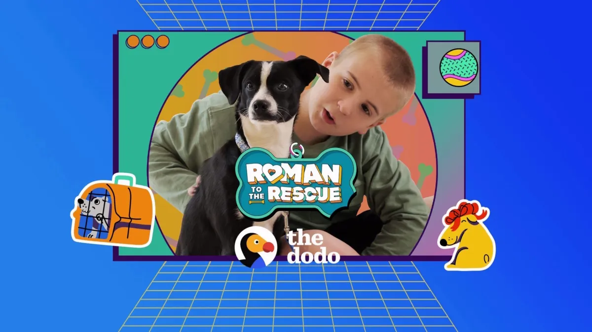Roman to the Rescue poster — TV series on Disney+