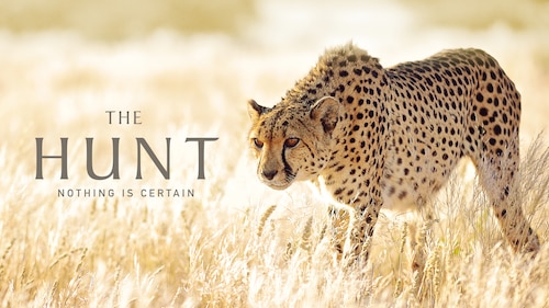 The Hunt poster — TV series on Max