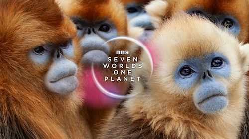 Seven Worlds, One Planet poster — TV series on Max