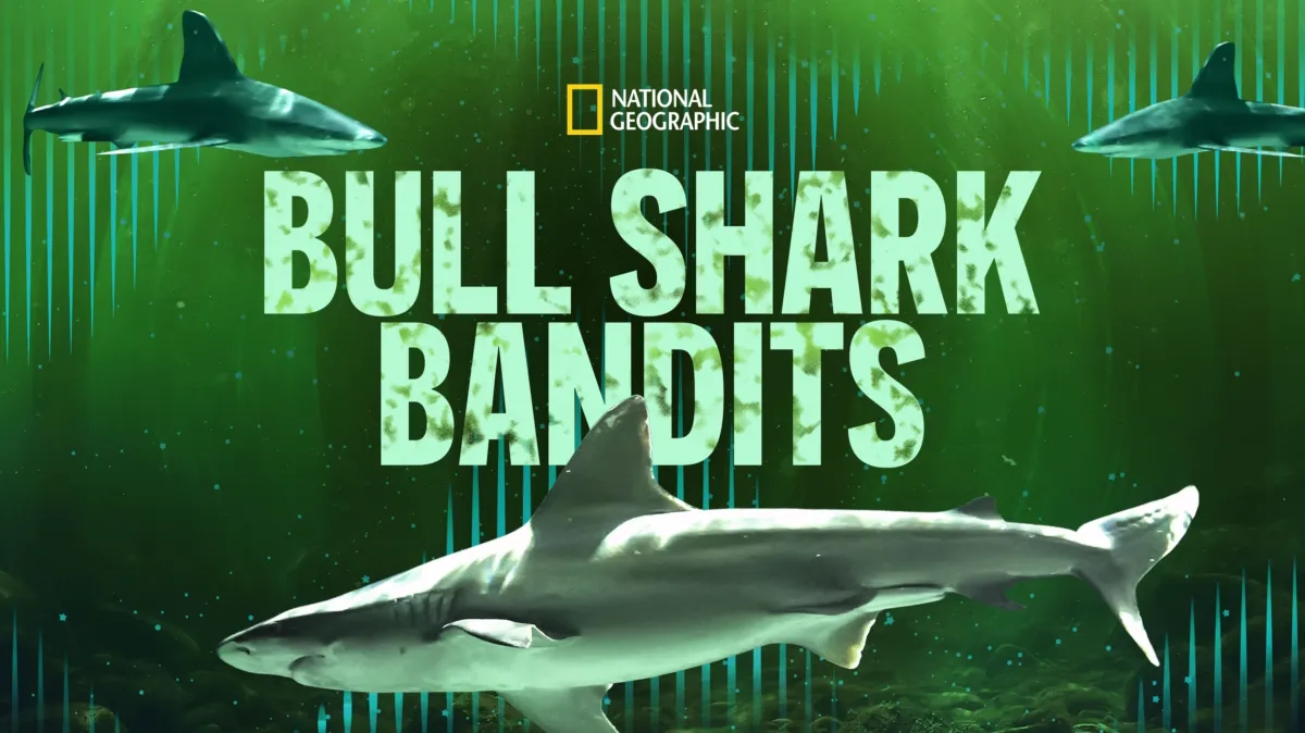 Bull Shark Bandits poster — movie on Disney+