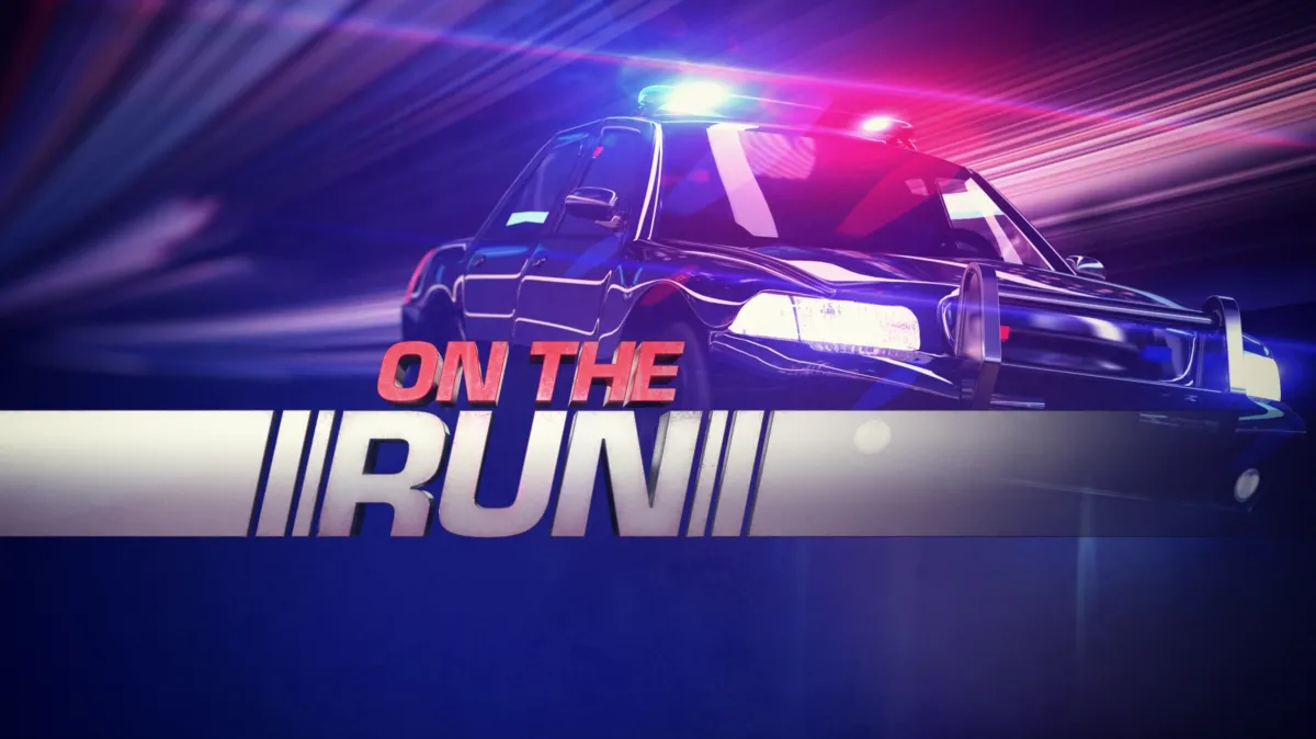 On The Run poster — TV series on Disney+