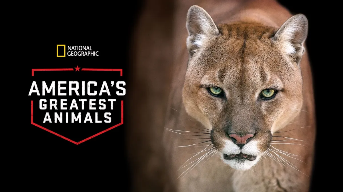 America's Greatest Animals poster — movie on Disney+