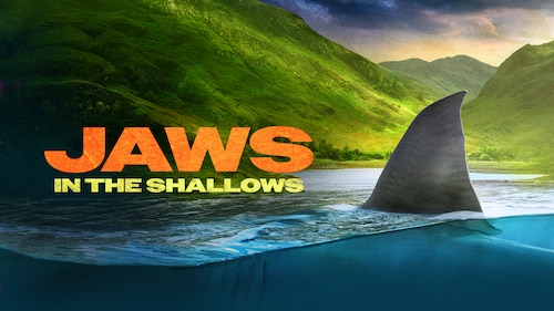 Jaws in the Shallows poster — movie on Max