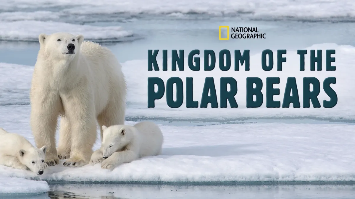Kingdom of the Polar Bears poster — TV series on Disney+