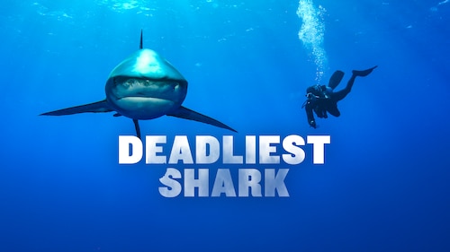 Deadliest Sharks poster — movie on Max