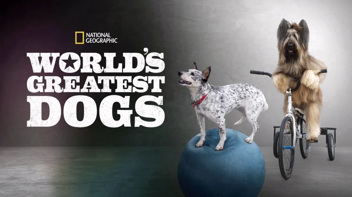 World's Greatest Dogs poster — movie on Disney+
