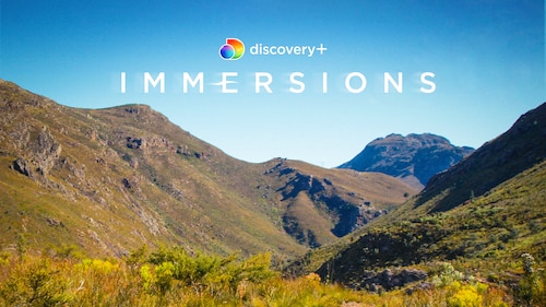 discovery+ Immersions poster — TV series on Max
