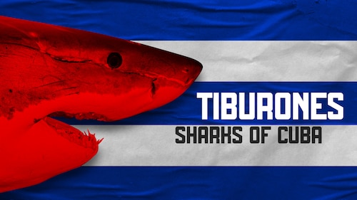 Tiburones: Sharks of Cuba poster — movie on Max