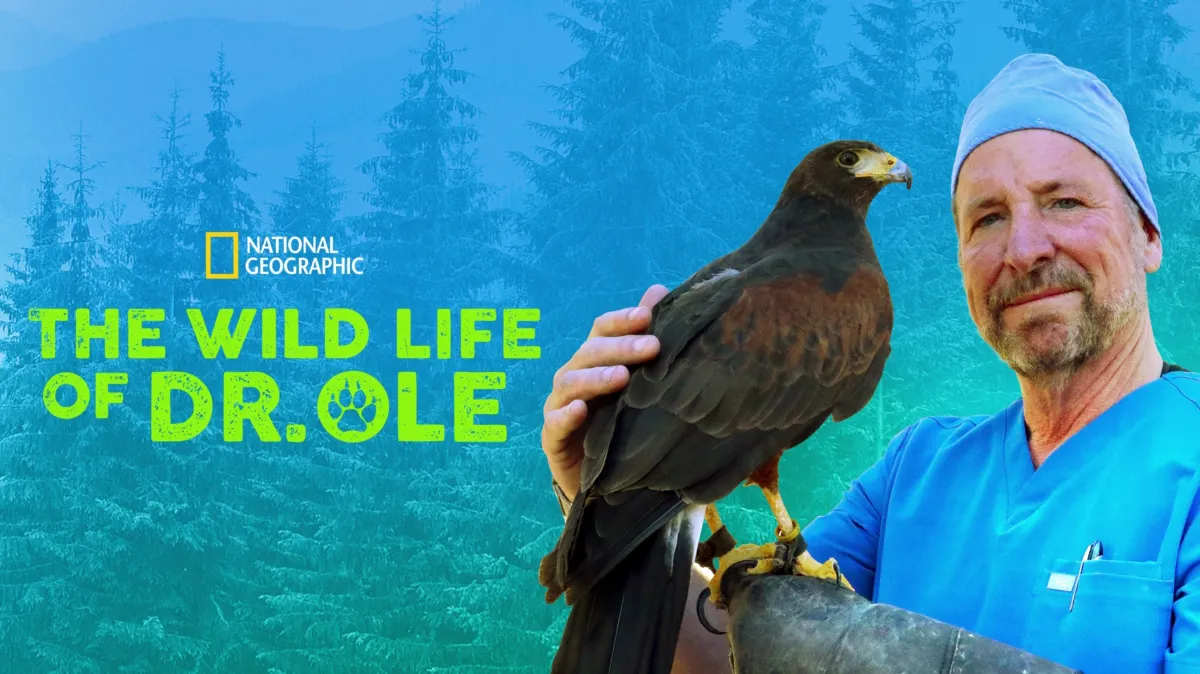 The Wild Life of Dr. Ole poster — TV series on Disney+