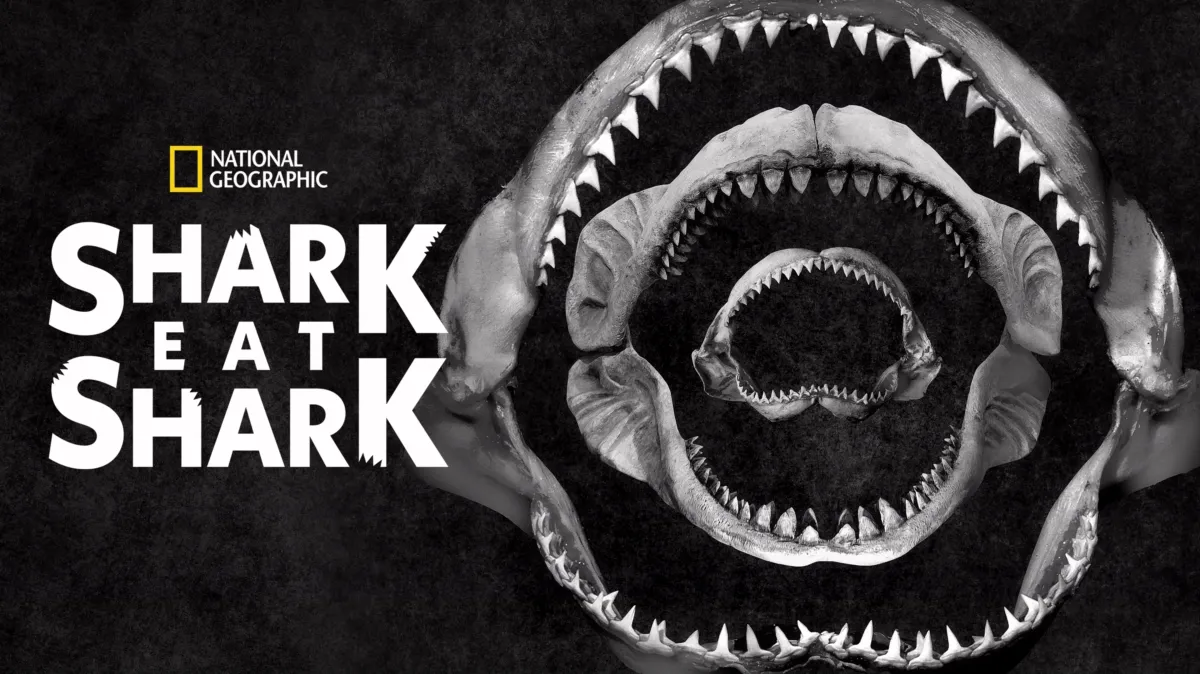 Shark Eat Shark poster — movie on Disney+