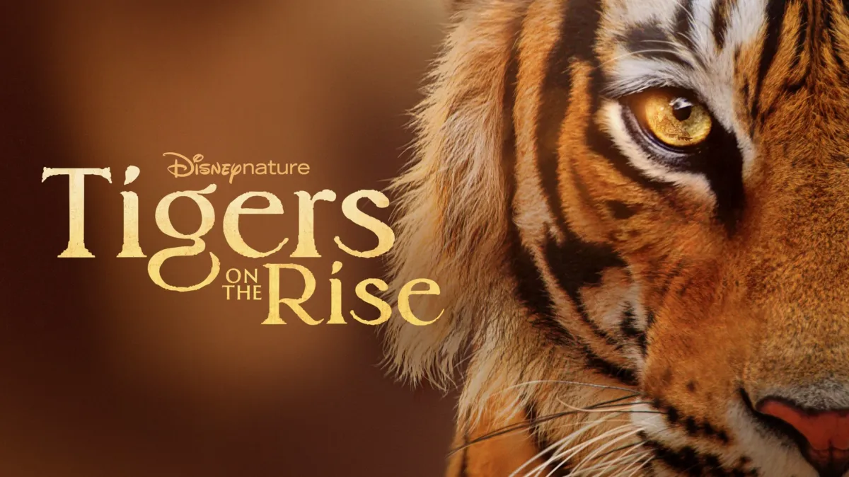 Tigers on the Rise poster — movie on Disney+