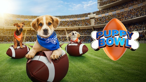 Puppy Bowl poster — TV series on Max