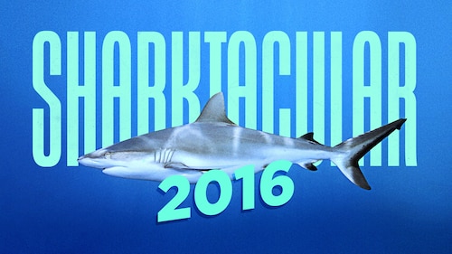 Shark Week Sharktacular 2016 poster — movie on Max