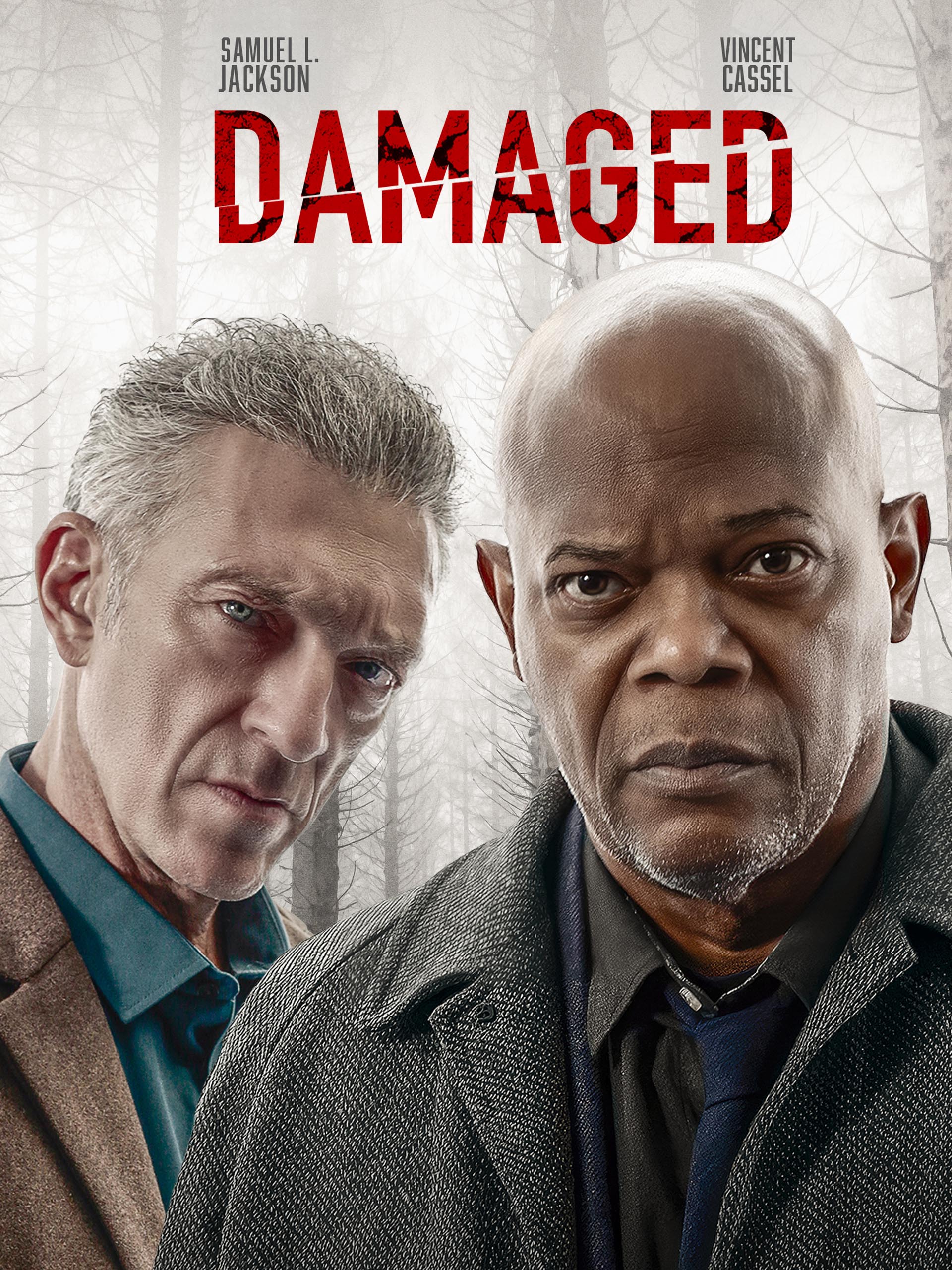 Damaged poster — movie on Prime Video