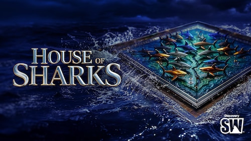 House of Sharks poster — movie on Max