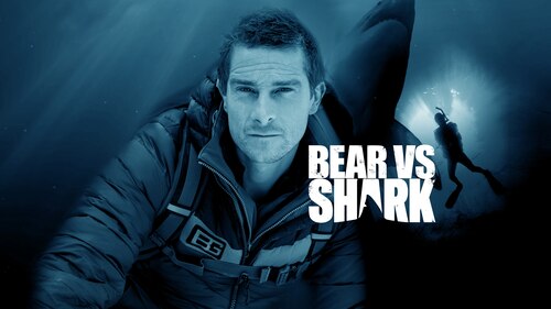 Bear vs. Shark poster — movie on Max