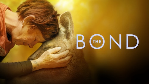 The Bond poster — TV series on Max