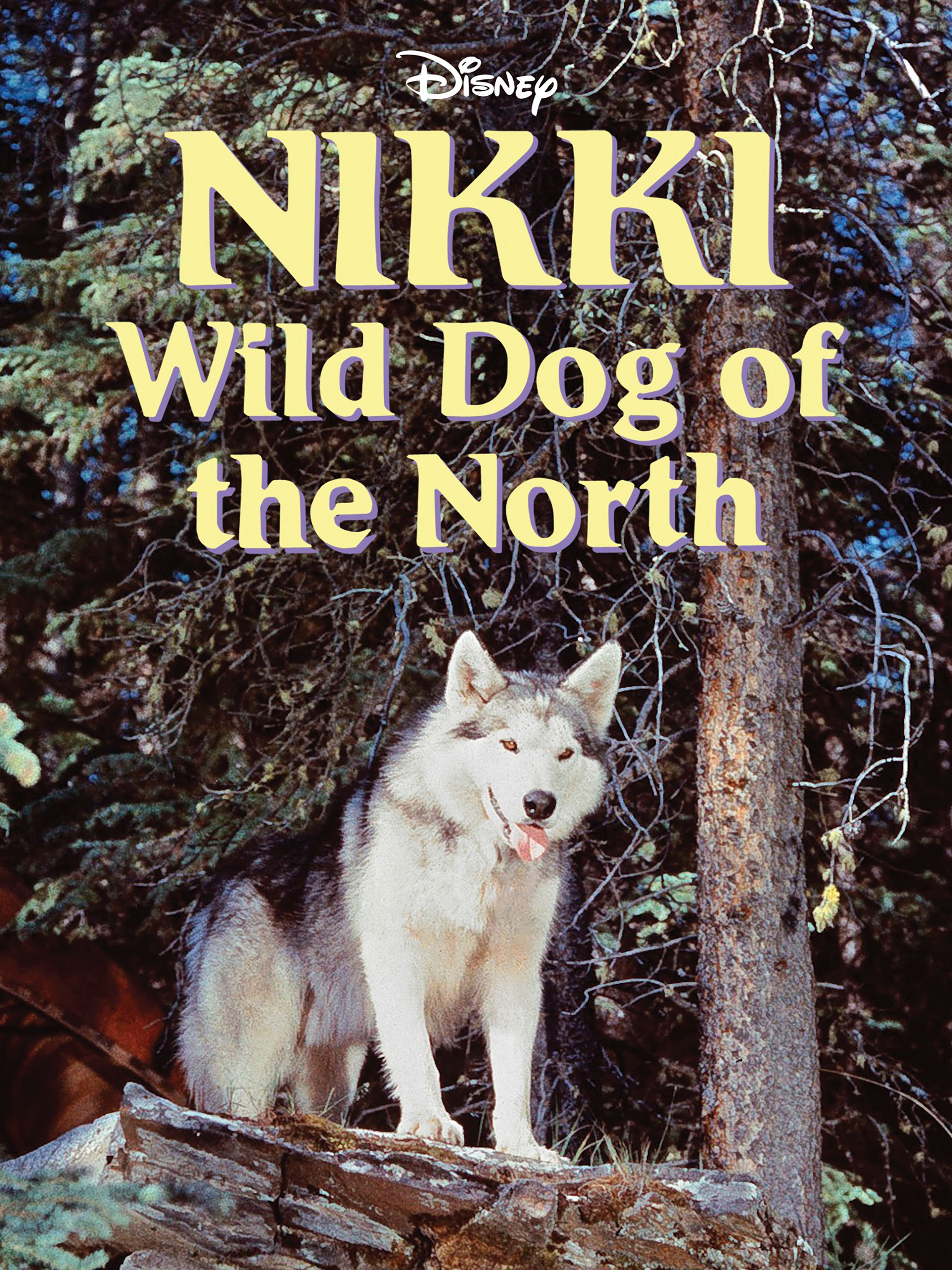 Nikki, Wild Dog of the North poster — movie on Prime Video