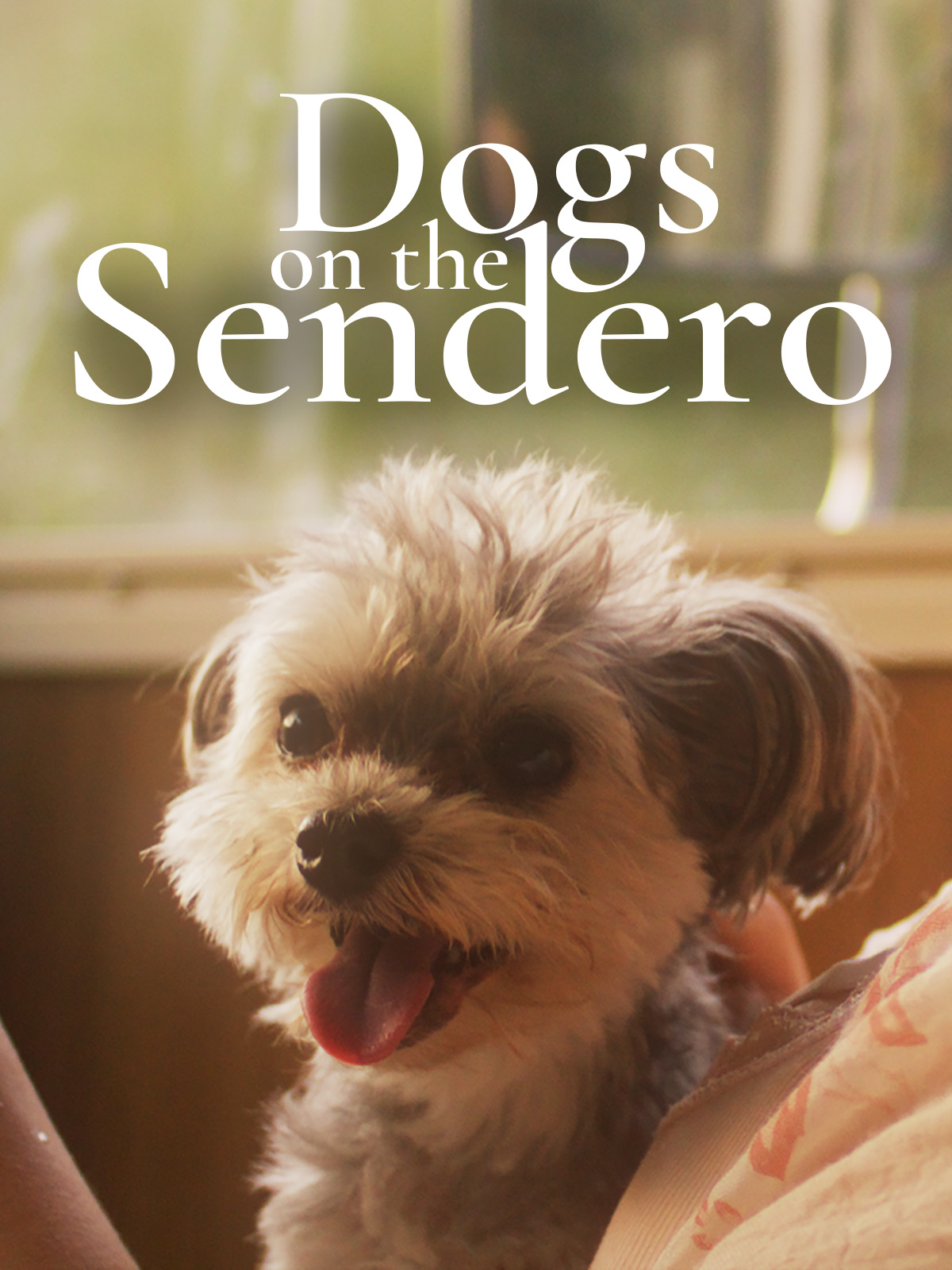 Dogs On The Sendero poster — movie on Prime Video