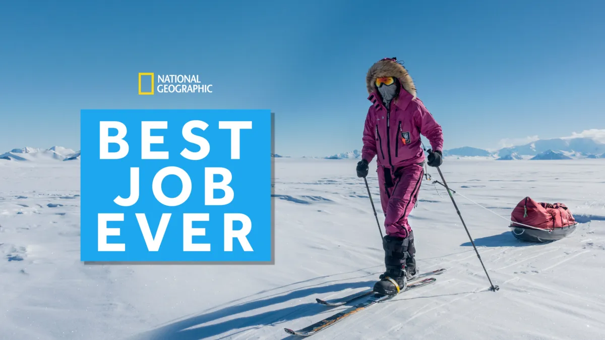 Best Job Ever poster — TV series on Disney+