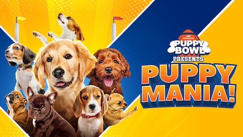Puppy Bowl Presents: Puppy Mania! poster — movie on Max